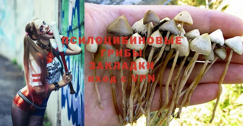 Галлюциногенные грибы Magic Shrooms  Новая Ляля 